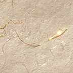 Handmade Printable Ivory Paper with Gold and Silk threads, 180 g